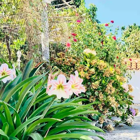 Nature & Paradise Gil Bordon Villa Valsequillo de Gran Canaria