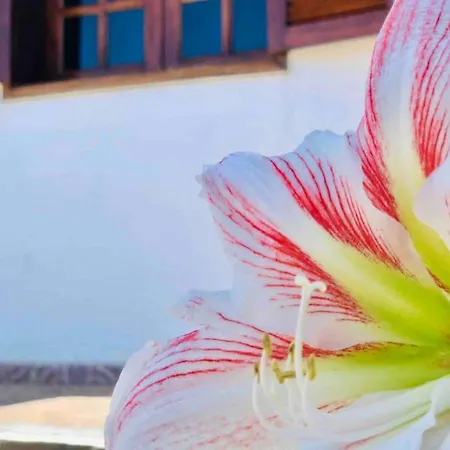 Nature & Paradise Gil Bordon Villa Valsequillo de Gran Canaria